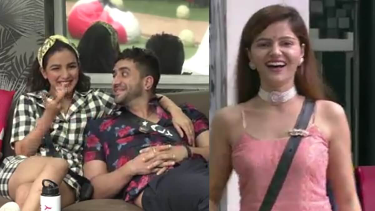‘Bigg Boss 14’: Aly Goni Opens Up On Marriage Plans With Jasmin, He Receives Advice From Rubina Dilaik
