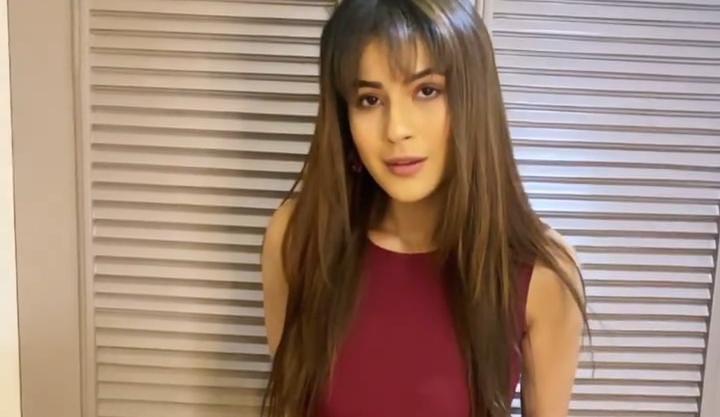 Shehnaaz Gill Makes Lovely Reel On Shehbaz Badesh’s New Song, ‘Little Star’