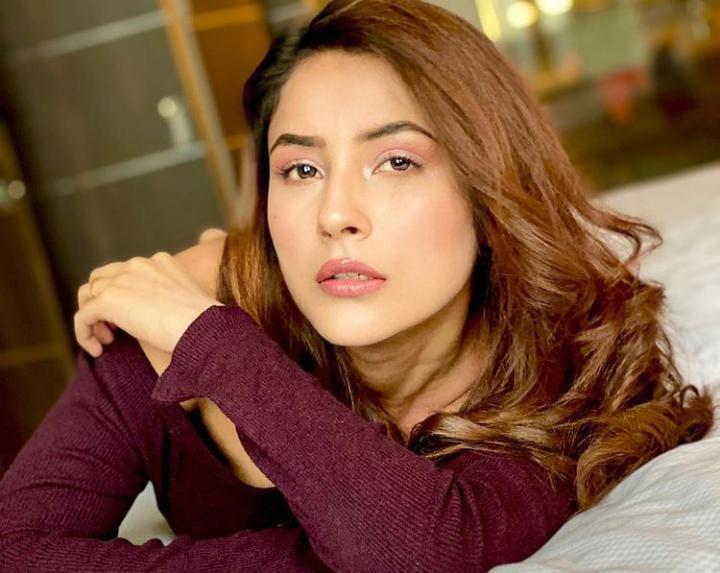 Shehnaaz Gill Has Bagged Chandigarh’s Most Desirable Woman Of 2020 Title