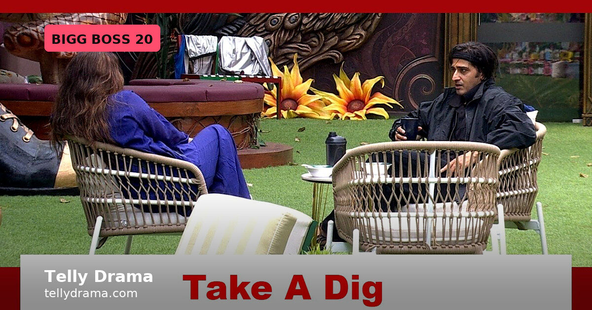 Bigg Boss 20: Mahhi and Qazi tag Aman as Uditi's PA