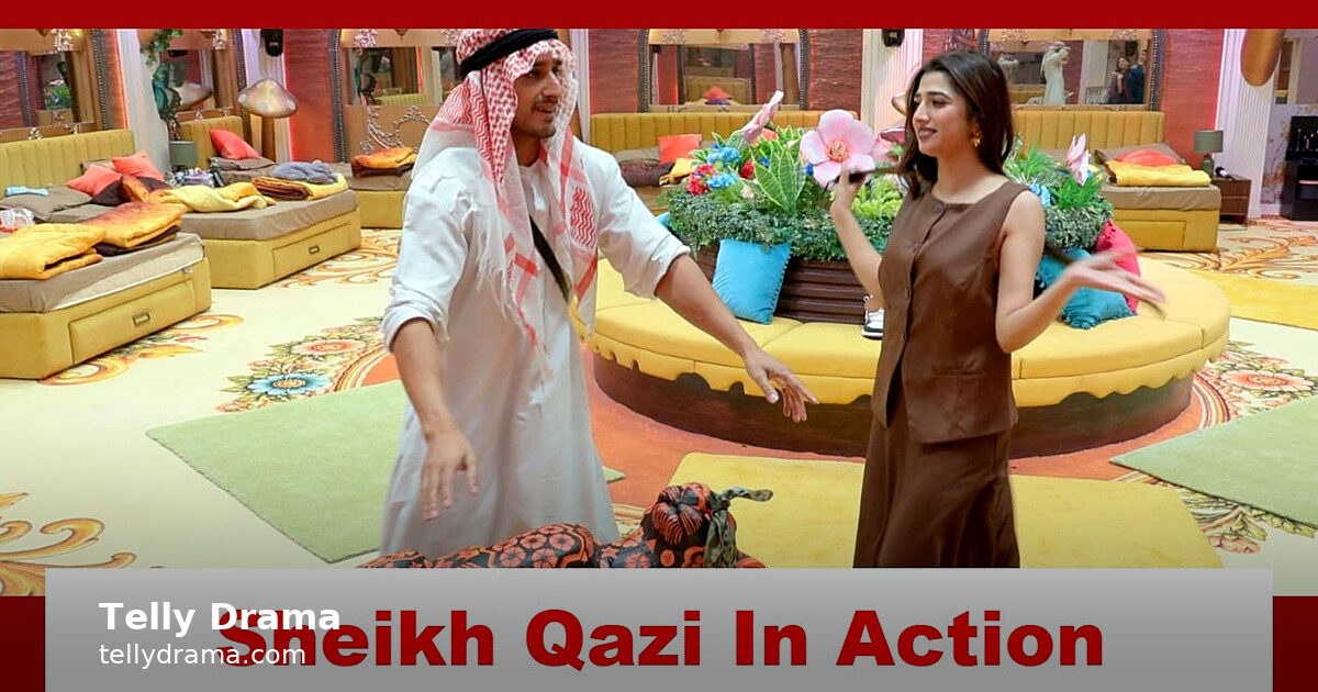 Qazi's fun act melts the Bigg Boss 20 tension